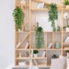 3-Pack Artificial Hanging Plants in Pots – Faux Trailing Eucalyptus & Ivy for Indoor Home Decor