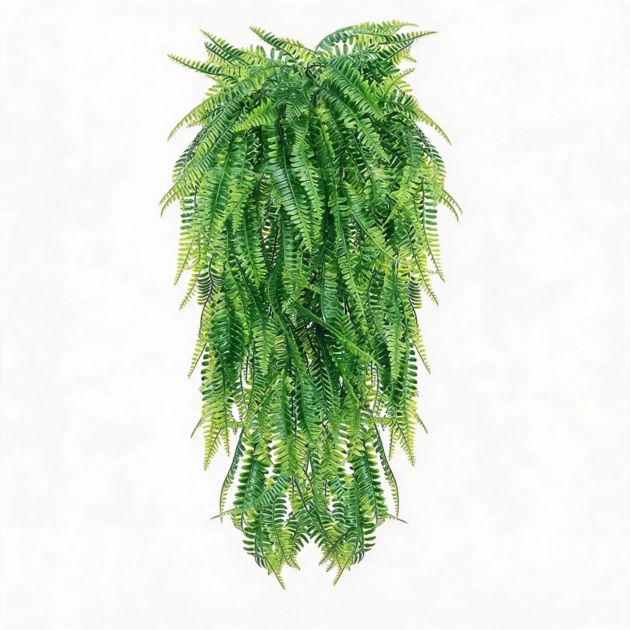 Artificial Persian fern wall hanging vine in 69 mesh straight tail variant against a plain white background