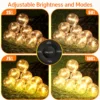 g40-string-lights-adjustable-brightness-levels g40-string-lights-adjustable-brightness-levels